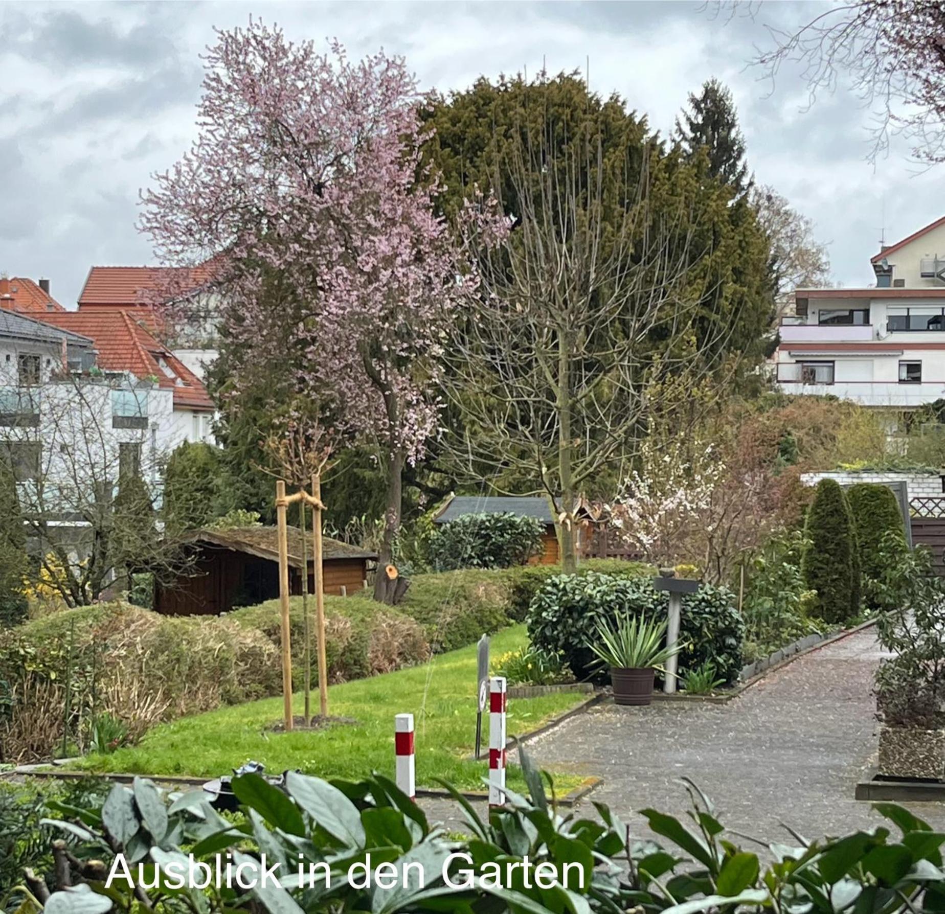 באד זאלצפלן Appartementresidenz Am Kurpark - Ferienwohnungen Mit Pool & Sauna & Garage חדר תמונה